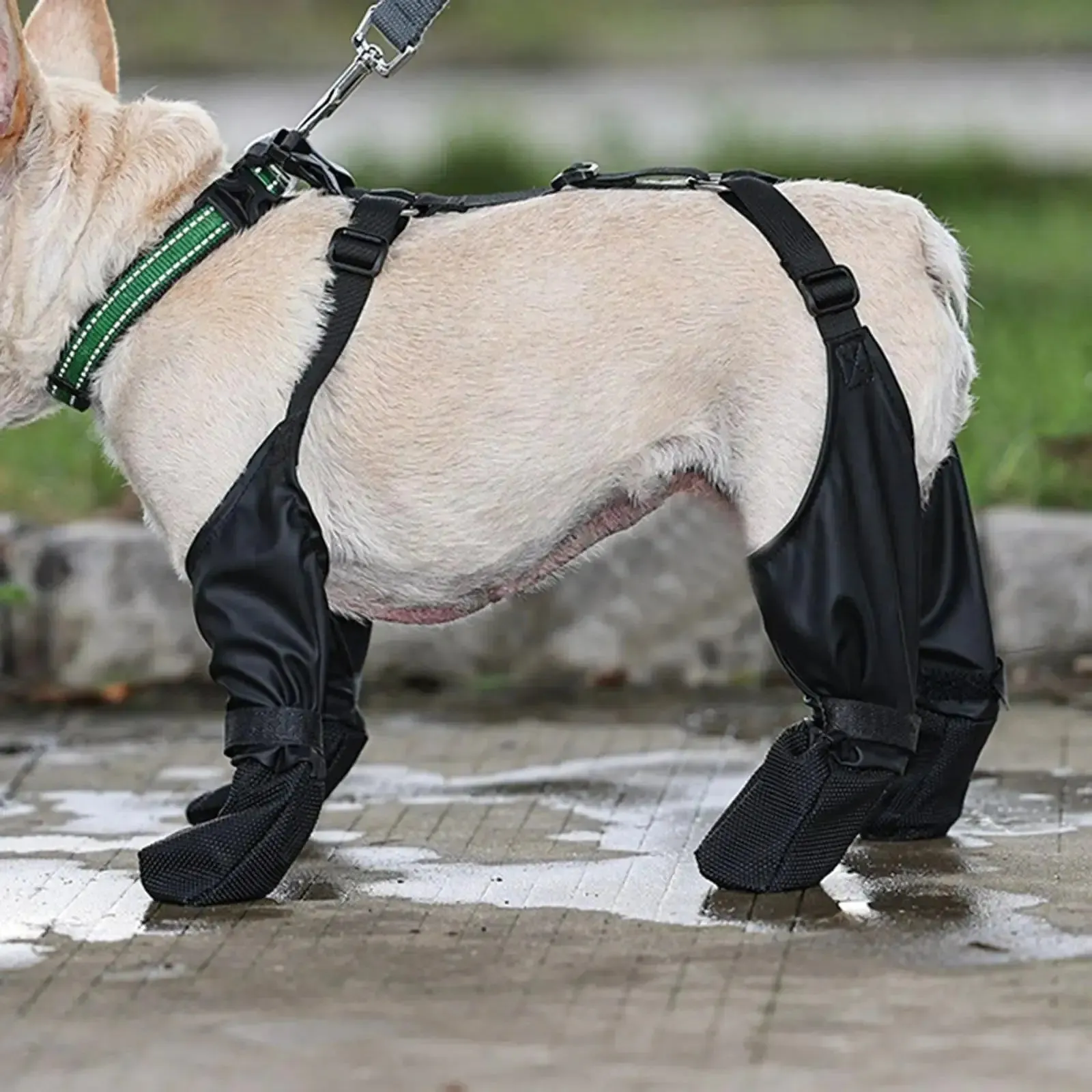 Introducing Suspender Dog Boots: Paw Protection Redefined!
