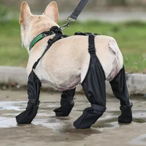 Introducing Suspender Dog Boots: Paw Protection Redefined!