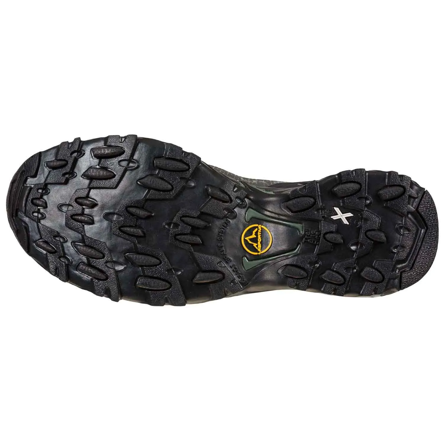 Ultra Raptor II Mid GTX Mens Hiking Shoe