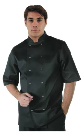 Vegas Chef Jacket Short Sleeve, Black, Large [A439-L] (Order in item)